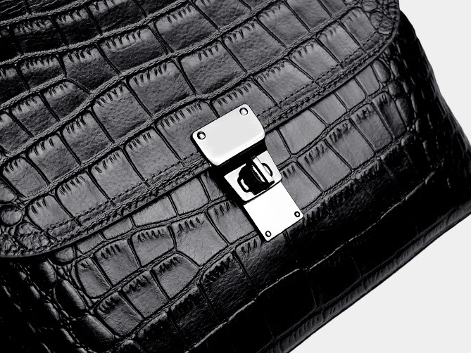The Graceful Satchel
